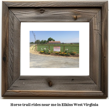 horse trail rides near me in Elkins, West Virginia